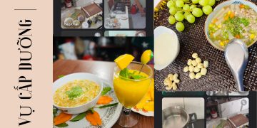nghiệp vụ cấp dưỡng mầm non